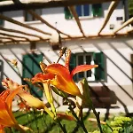Casa vacanze La Rosa Sul