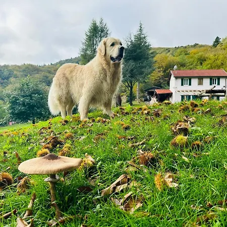 La Rosa Sul * Osiglia