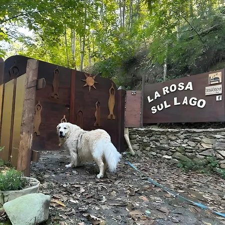 Holiday home La Rosa Sul *