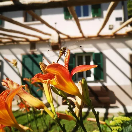 La Rosa Sul Osiglia