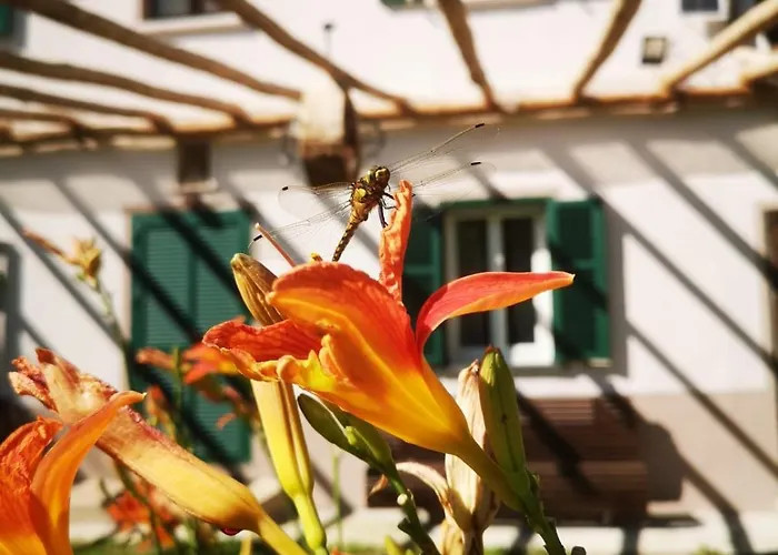 Feriehus La Rosa Sul
