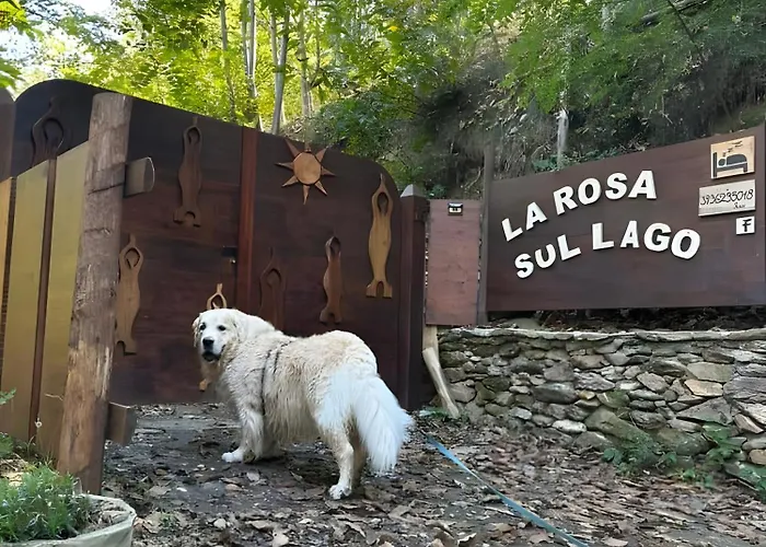 別荘 La Rosa Sul *